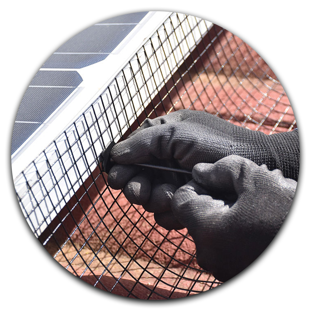 Lumon Cleaning Our Bird-Proofing Process 1